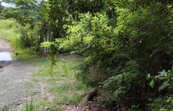 Penonome, Cocle, Coclé Province