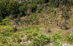 Jaramillo, Jaramillo, Chiriquí Province