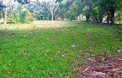 TERRENO EN CAPIRA CENTRO, VÍA CIRUELITO, Capira, Panamá Oeste