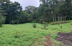 Las Terrazas, Bajo Boquete, Chiriquí Province