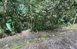 ALTOS DEL MARÍA, San Carlos, Panamá Oeste