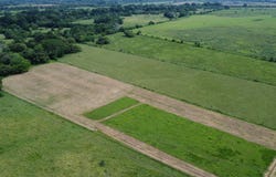 CHIRIQUÍ, ALANJE, PALO GRANDE, LAS MORAS, Alanje, Chiriqui