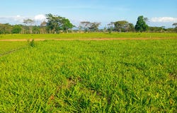 POTRERILLOS ARRIBA unit: 1500m², Dolega, Chiriqui