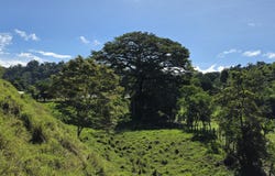 Caizan, Renacimiento, Renacimiento - Caizan, Chiriquí, Renacimiento - Caizan, Chiriquí
