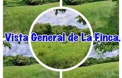 EL POTRERO, OCÚ, Ocú, Herrera