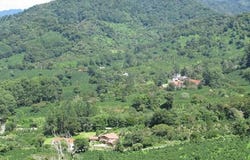 Palo Alto, Los Naranjos, Chiriquí Province