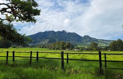 TIERRAS ALTAS, CERRO PUNTA, Bugaba, Chiriqui