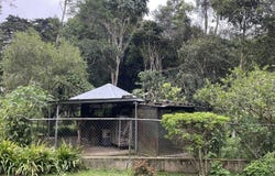 NUEVA SUIZA, VOLCAN, CHIRIQUI, Tierras Altas, Chiriqui