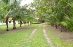 COLONSITO, Chame, Panamá Oeste