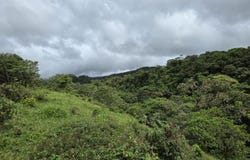 Via Cordillera - Volcan, Boqueron - Cordillera, Chiriquí, Boqueron - Cordillera, Chiriquí