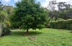 SAN PABLO VIEJO, EL ROBLEDAL, David, Chiriqui