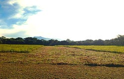 POTRERILLOS ARRIBA, DOLEGA unit: 3124m², Dolega, Chiriqui