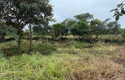 LOT #20 EMRALD DR., Boquete, Boquete
