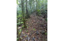 CERRO AZUL unit: 360192, Chepo, Panamá