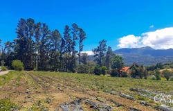 Volcancito, Boquete, Chiriquí Province