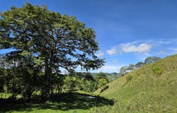 Caizan, Renacimiento, Renacimiento - Caizan, Chiriquí, Renacimiento - Caizan, Chiriquí