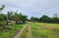 Coronado, provincia de Chame, corregimiento de Nueva Gorgona, Chame - Chame, Panamá Oeste, Chame - Chame, Panamá Oeste