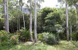 SAN CARLOS PANAMA, San Carlos, Panamá Oeste
