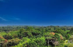 Boqueron, Boqueron, Chiriquí Province