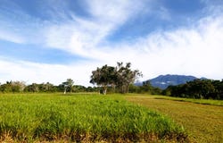 POTRERILLOS ARRIBA, DOLEGA unit: 3124m², Dolega, Chiriqui