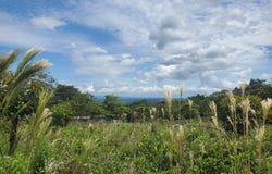 Caldera BOQUETE unit: Terreno, Boquete, Chiriqui