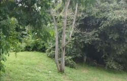 AVE 2 NORTE, LA CRESTA PANAMA, Panamá, Panamá