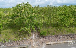 Dolega District, Dolega District, Chiriquí Province