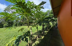 POTRERILLOS, DOLEGA, Dolega, Chiriqui