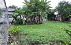 David, Chiriquí, Chiriqui Montaña - David, Chiriquí, Chiriqui Montaña - David, Chiriquí
