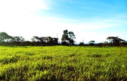 POTRERILLOS ARRIBA unit: 5879m², Dolega, Chiriqui