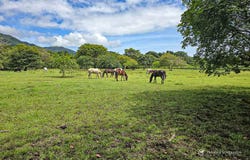 Cambutal, View All Locations Across Panama, Los Santos Province