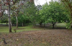 URBANIZACIÓN SANTA ISABEL, RÍO MAR unit: Lote 81, San Carlos, Panamá Oeste