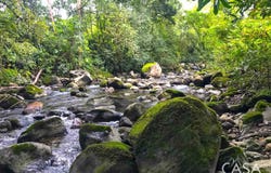 Boqueron, Boqueron, Chiriquí Province