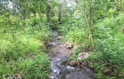 Boqueron, Boqueron, Chiriquí Province