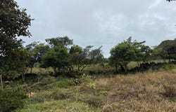 LOT #20 EMRALD DR., Boquete, Boquete