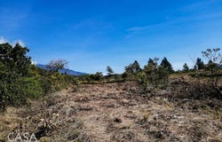 Alto Boquete, Alto Boquete, Chiriquí Province