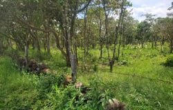 Caldera BOQUETE unit: Terreno, Boquete, Chiriqui