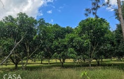 Boqueron, Boqueron, Chiriquí Province