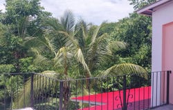 Puerto Armuelles, Puerto Armuelles, Chiriquí Province