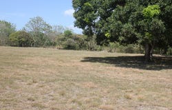 LLANO SÁNCHEZ, EL CHIRÚ unit: Terreno, Antón, Coclé