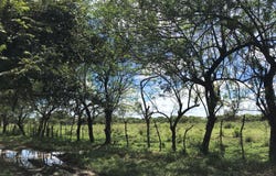 Penonome, Penonomé, Coclé Province