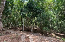 ALTOS DE PEDREGAL, Panamá, Panamá