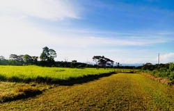 POTRERILLOS ARRIBA, DOLEGA unit: 3072m², Dolega, Chiriqui