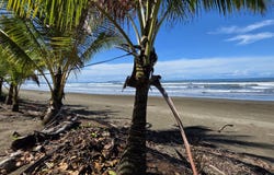 Las Lajas, San Félix., Las Lajas, Chiriquí, Las Lajas, Chiriquí