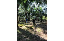 David, David, Chiriquí Province