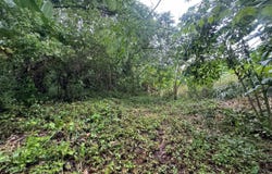 VIA SORA, BUENOS AIRES, BEJUCO, Chame, Panamá Oeste