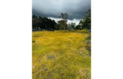 CALLE DE ANAM, Boquete, Chiriqui