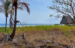 CAMBUTAL AZUERO, Tonosí, Los Santos