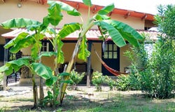 SAN LORENZO LAS LAJAS CHIRIQUI PANAMA, San Félix, Chiriqui