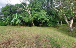 CASA Y LOTE S/N, PAJONAL, PENONOMÉ, Penonomé, Coclé